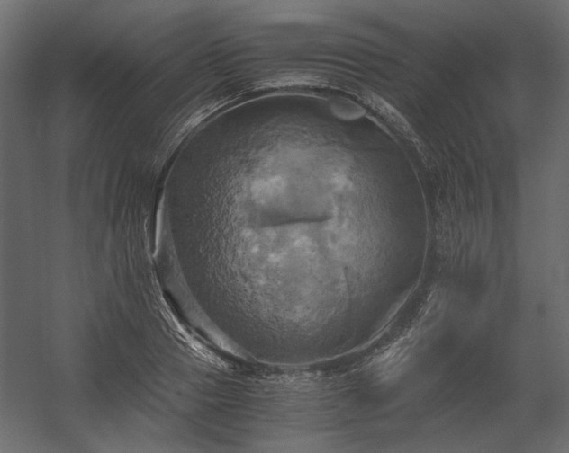 X0000058800937200510031316