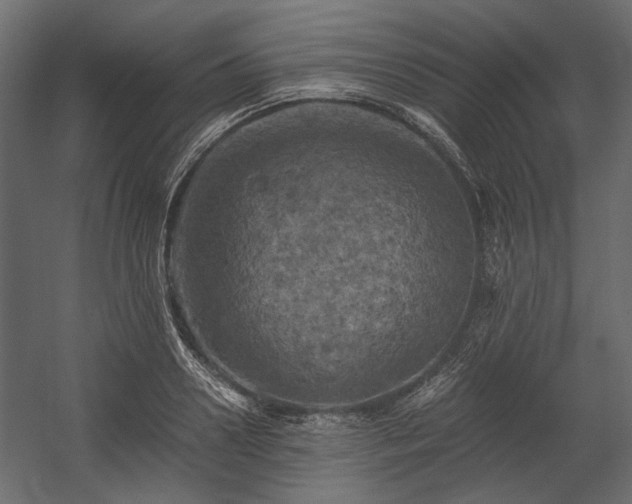 X0000058800938200510031316