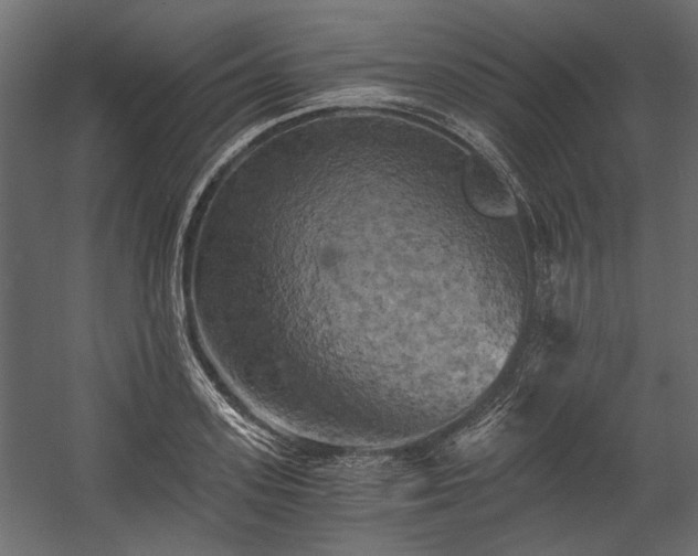 X0000058800939200510031316