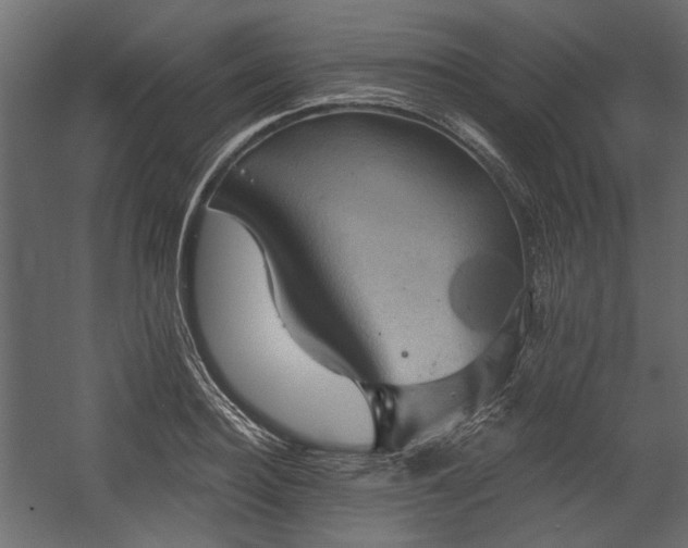 X0000058800940200510031316