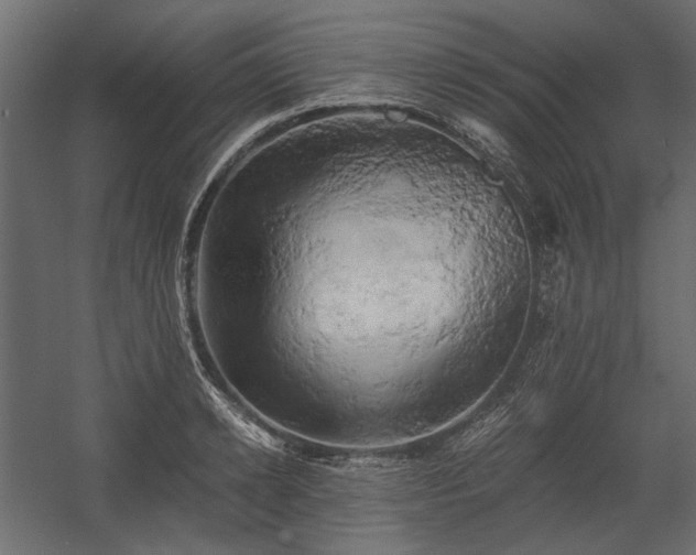 X0000058800942200510031316