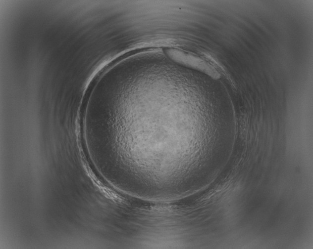 X0000058800944200510031316