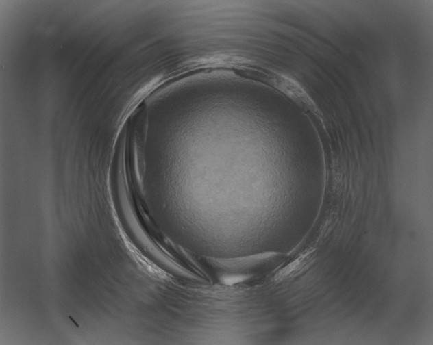 X0000058800946200510031316