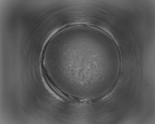 X0000058800949200510031316