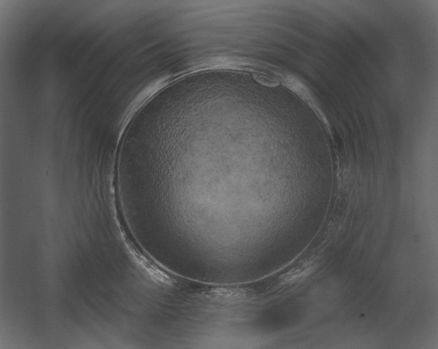 X0000058800954200510031316
