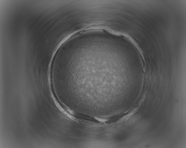 X0000058800957200510031316