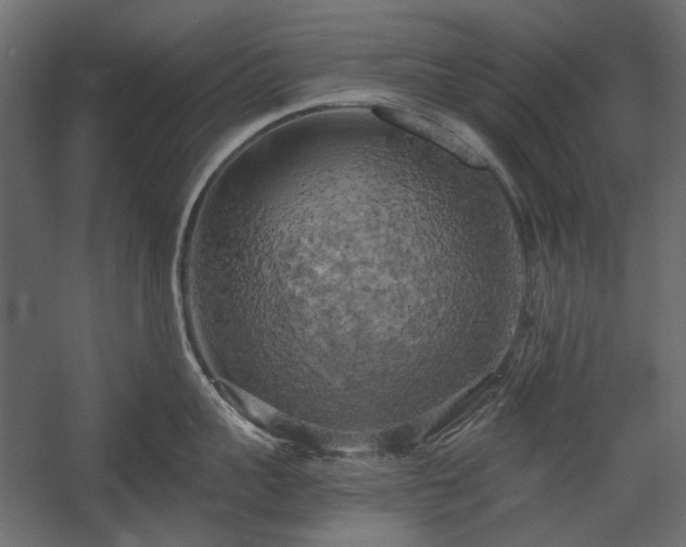 X0000058800959200510031317