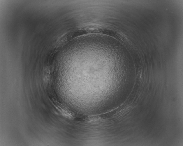 X0000058800964200510031316