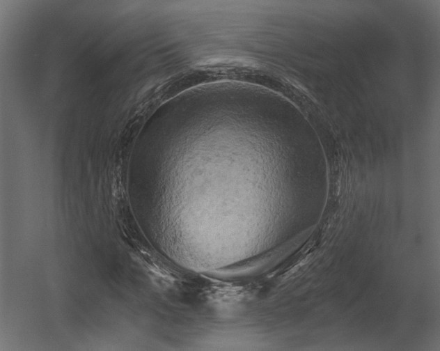 X0000058800965200510031316