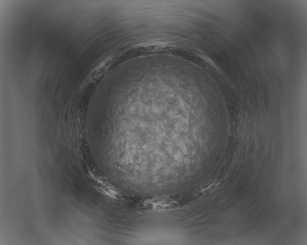X0000058800967200510031316