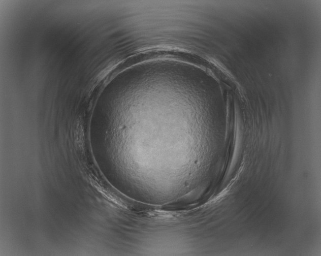 X0000058800969200510031316
