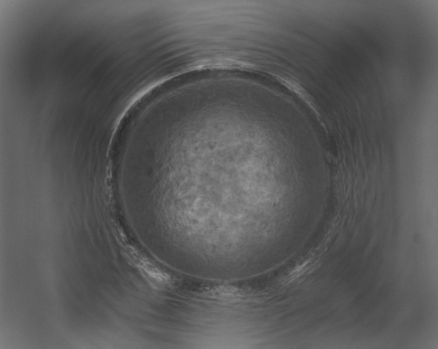 X0000058800971200510031315