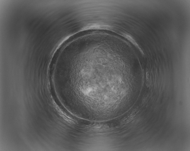 X0000058800972200510031315