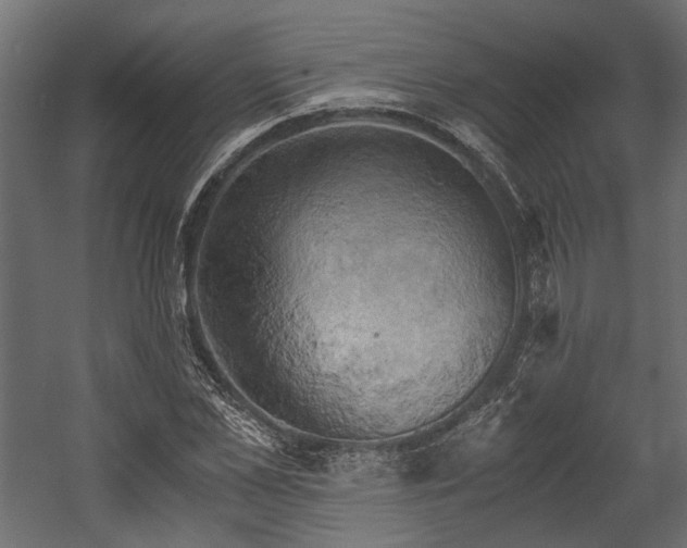 X0000058800973200510031315