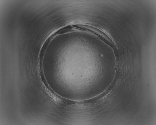 X0000058800976200510031315