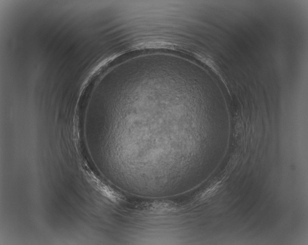 X0000058800979200510031315