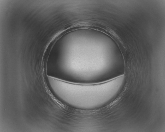 X0000058800981200510031315