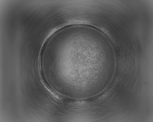 X0000058800982200510031315