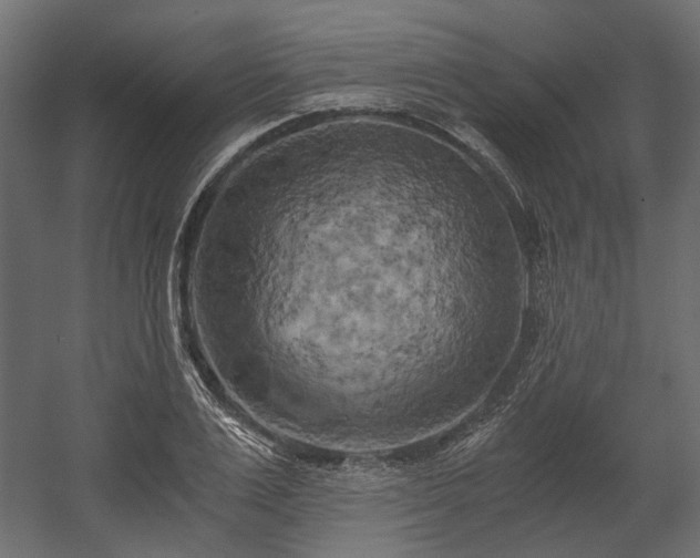 X0000058800983200510031315