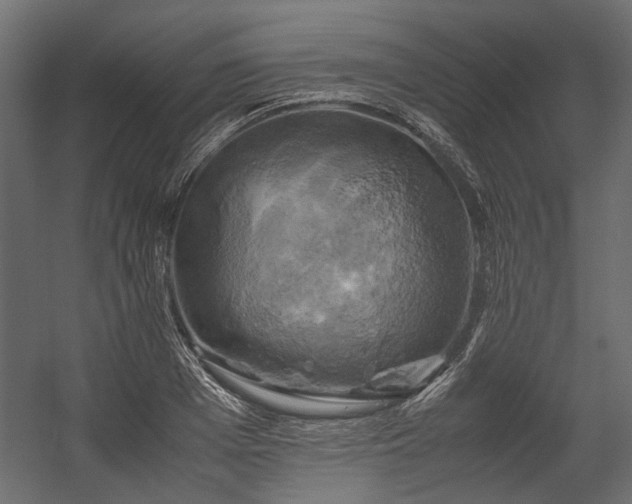 X0000058800985200510031315