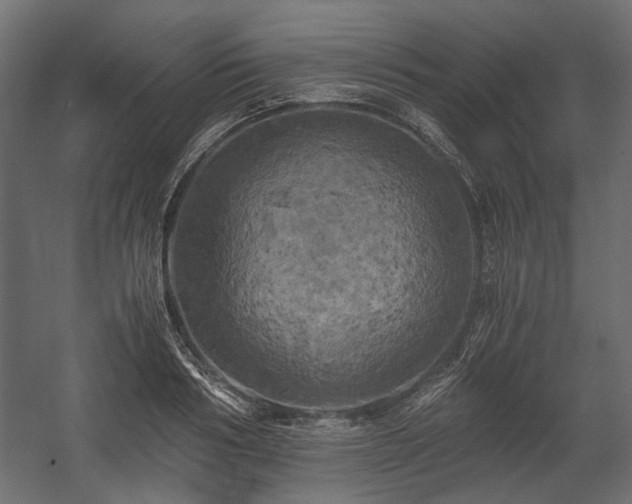 X0000058800986200510031315