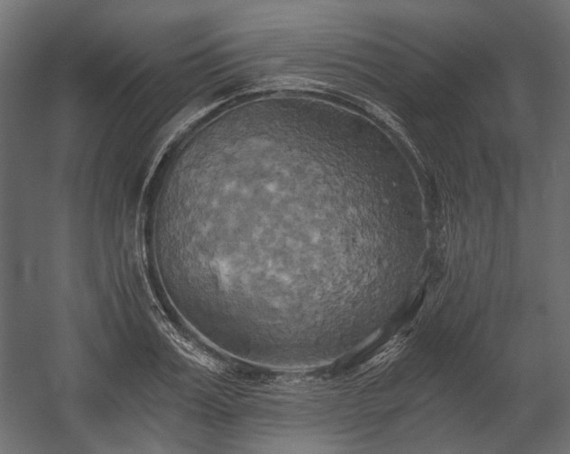 X0000058800987200510031315