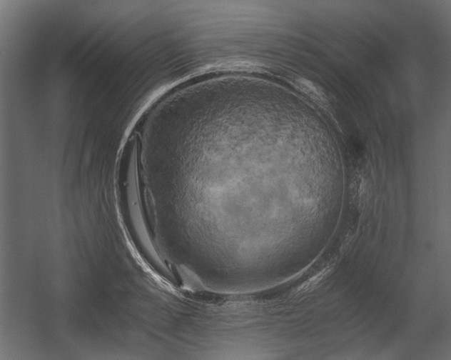 X0000058800989200510031315