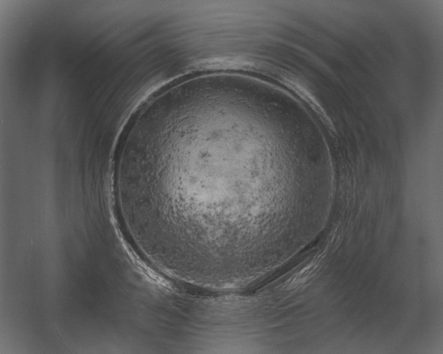 X0000058800992200510031315