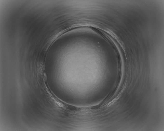 X0000058800993200510031315
