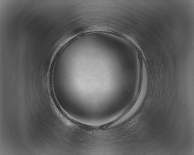 X0000058800995200510031315