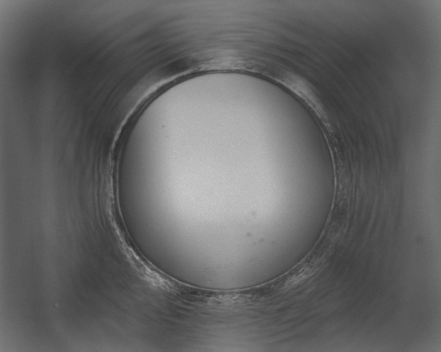 X0000058801000200510031315