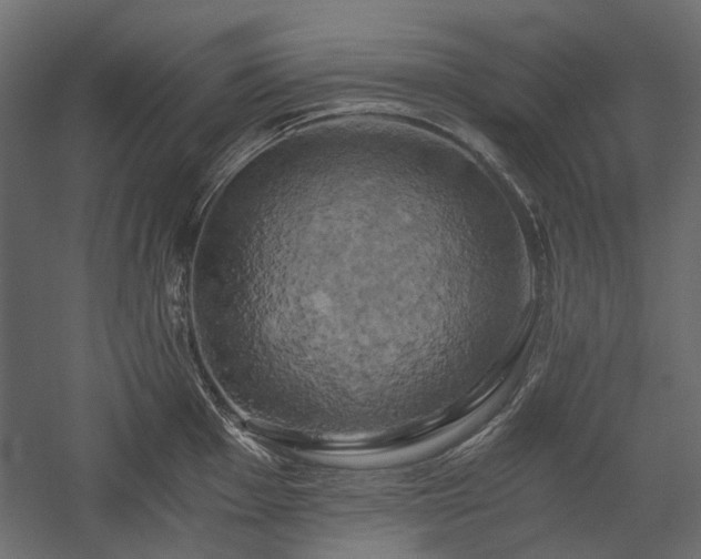 X0000058801001200510031315