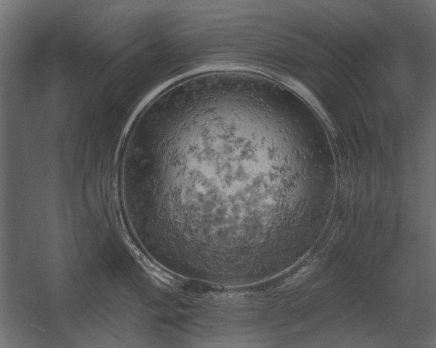 X0000058801004200510031315