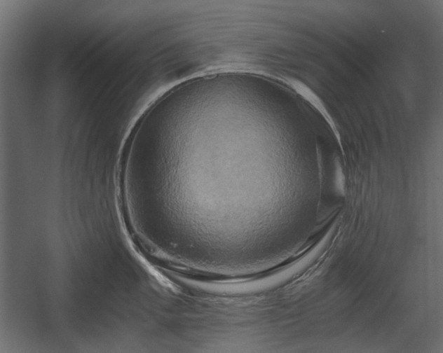 X0000058801005200510031315