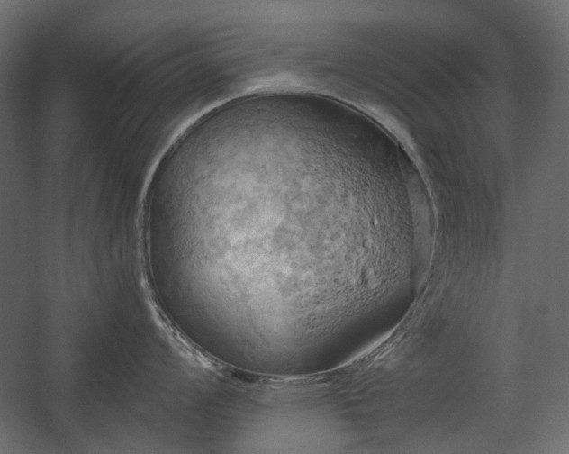 X0000058801008200510031315