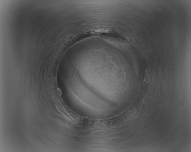 X0000058801009200510031314