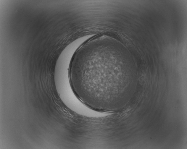 X0000058801010200510031314
