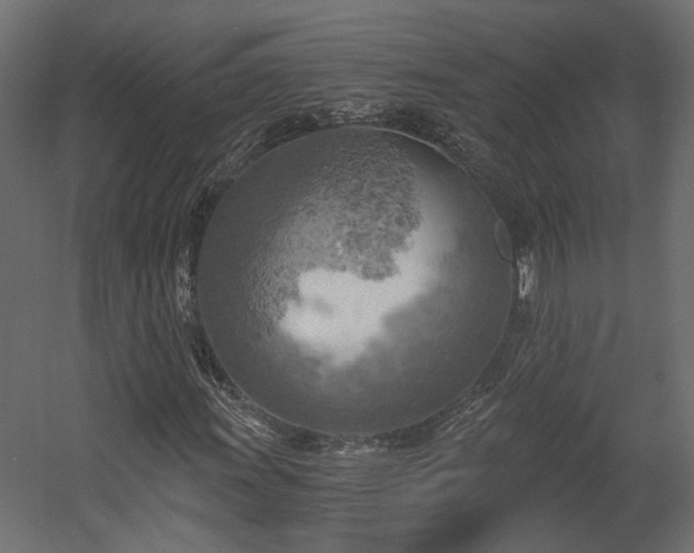 X0000058801011200510031314