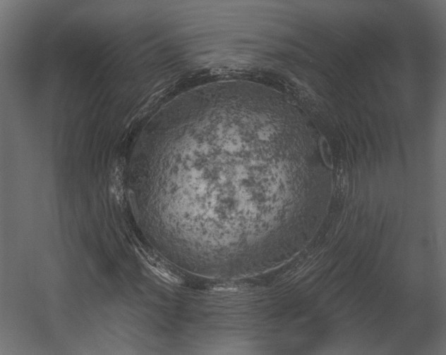 X0000058801012200510031314