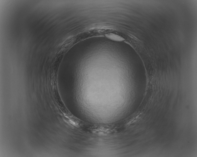 X0000058801014200510031314