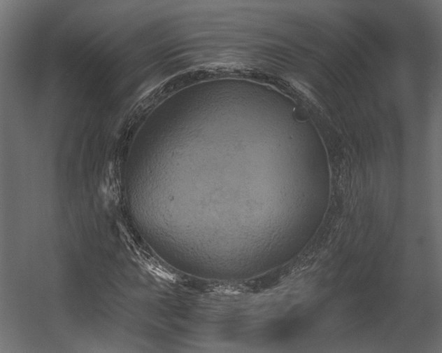 X0000058801015200510031314