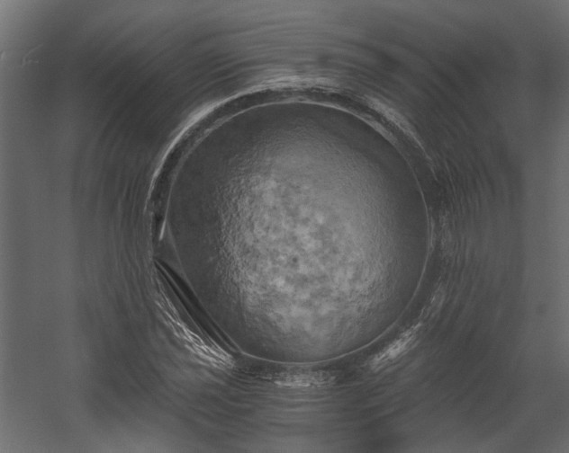 X0000058801021200510031314