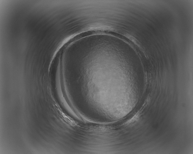 X0000058801022200510031314