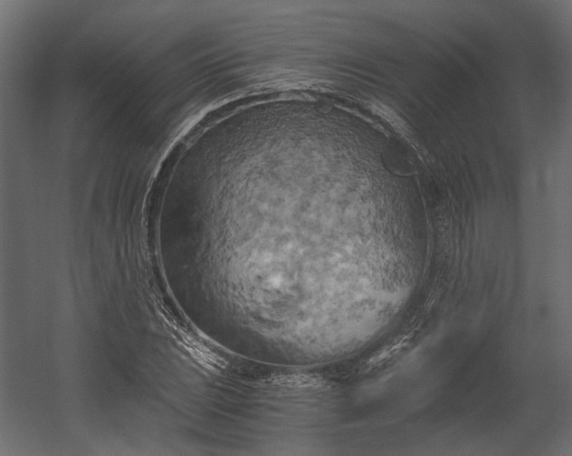X0000058801023200510031314