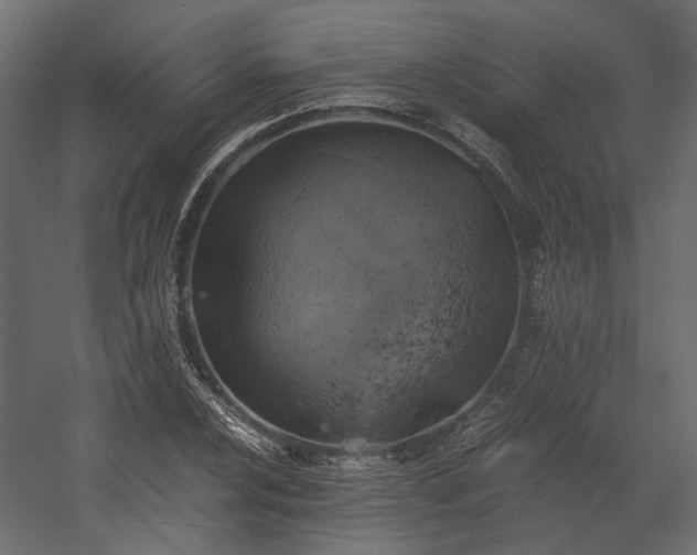 X0000058801024200510031314