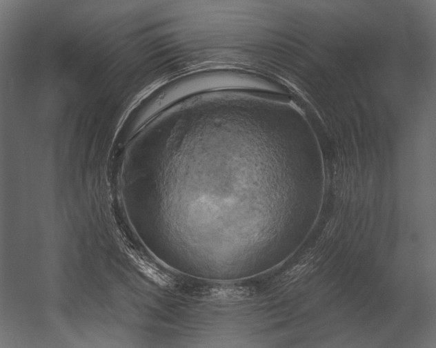 X0000058801026200510031314