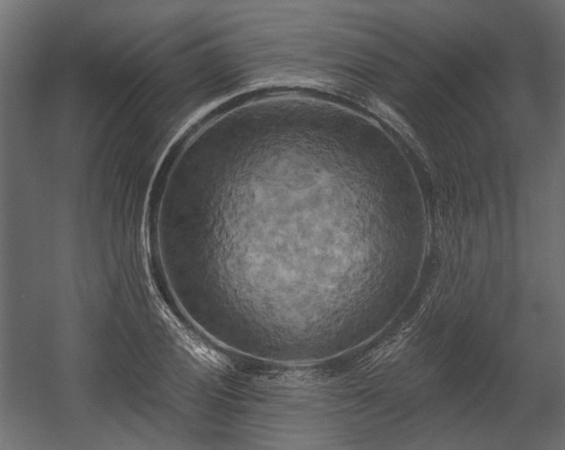 X0000058801028200510031314