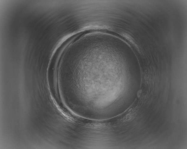 X0000058801030200510031314