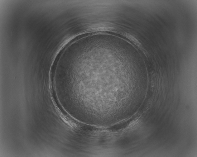 X0000058801031200510031314