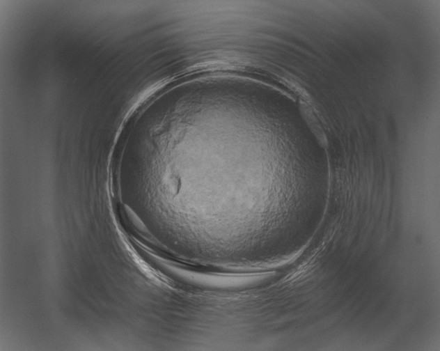 X0000058801034200510031314